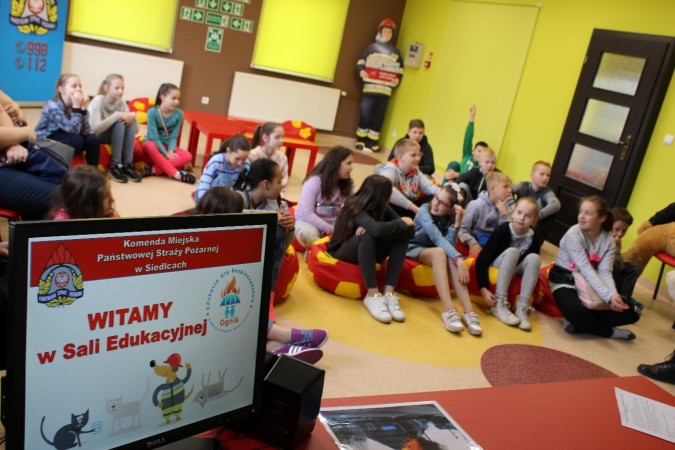 Ognik - Szkoła Podstawowa nr 10 w Siedlcach