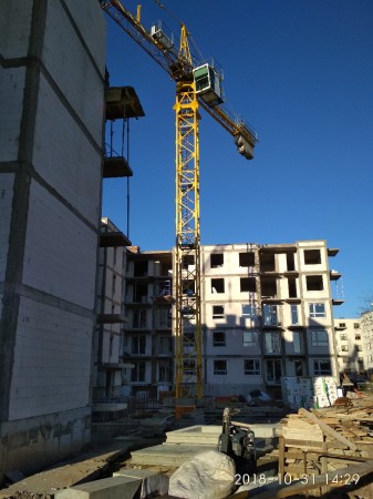 Ćwiczenia Żuraw 2018