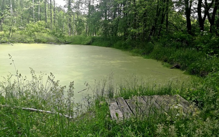 Sprawdzenie leśnych punktów czerpania wody