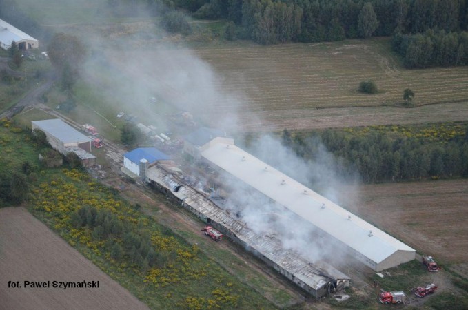 m. Jagodnia, pożar kurnika /fot. Paweł Szymański
