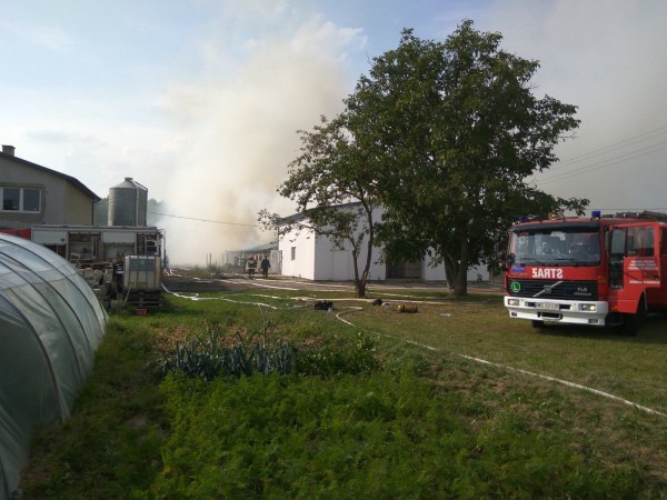 m. Jagodnia, pożar kurnika /fot. OSP Nowe Opole