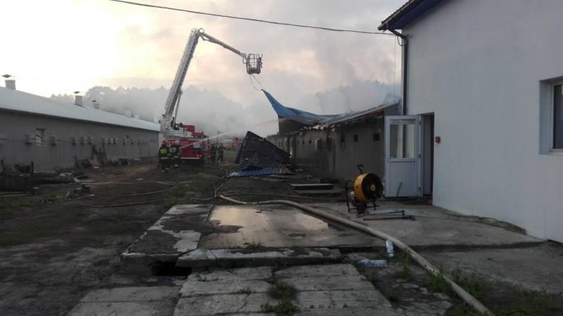 m. Jagodnia, pożar kurnika /fot. OSP Pruszyn