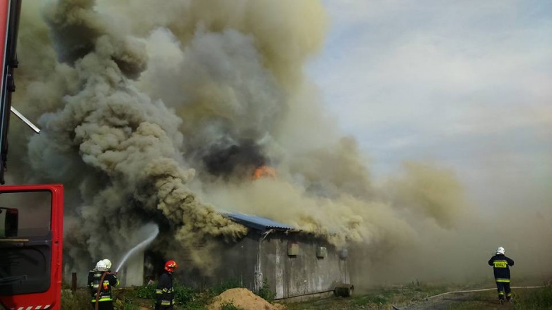 m. Jagodnia, pożar kurnika /fot. OSP Pruszynek