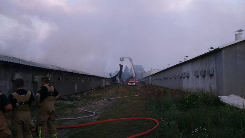 m. Jagodnia, pożar kurnika /fot. OSP Pruszynek
