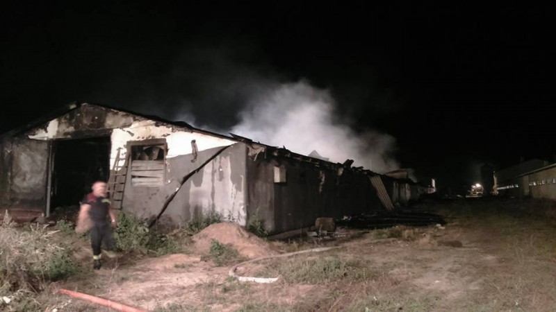 m. Jagodnia, pożar kurnika /fot. OSP Pruszynek