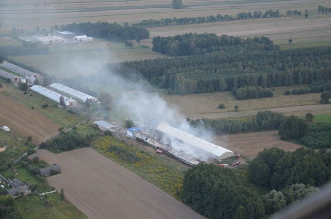 m. Jagodnia, pożar kurnika /fot. Paweł Szymański
